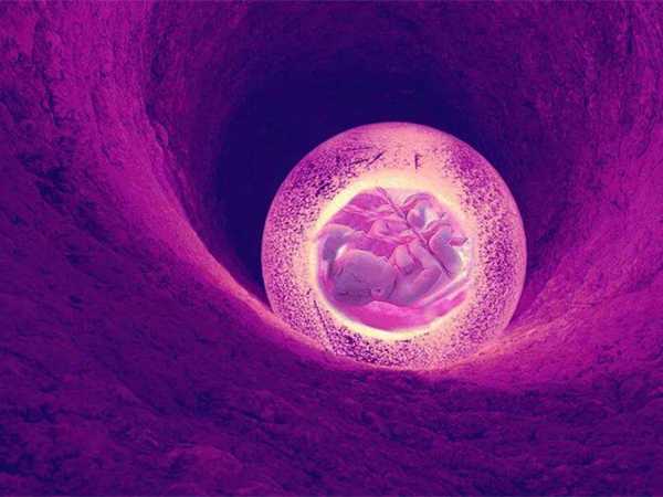 三代试管胚胎筛查结果为嵌合体，到底适不适合移植？