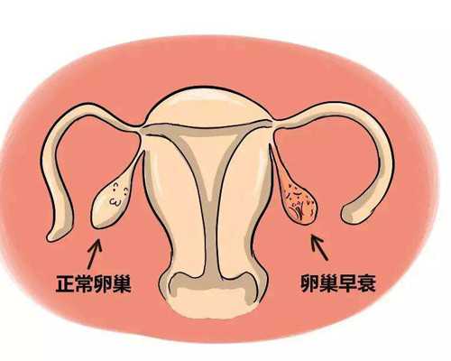 杭州试管婴儿代怀生子医院排名，附试管助孕机构一览？