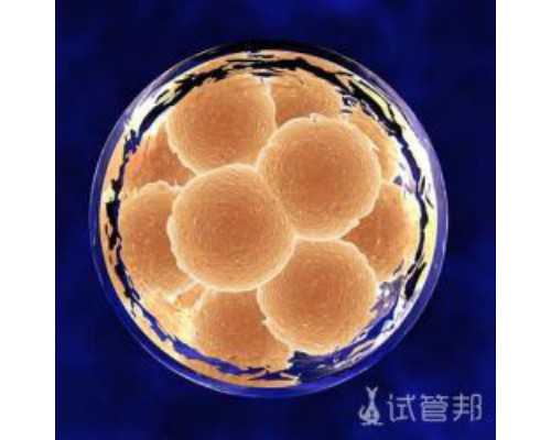 深圳供卵试管费用多少钱,深圳供卵试管婴儿单周费用明细一览，2026借卵试管生