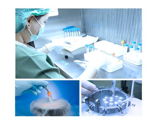 国内试管代怀生子选男孩还是女孩？附选择方法？ 