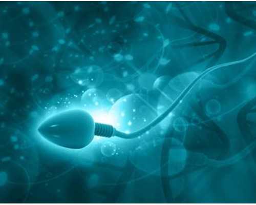 深圳助孕价格,深圳代生男孩,深圳代生妈妈,什么是三代试管婴儿技术？哪些医院