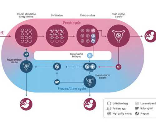 平凉供卵代怀，附兰州供卵试管费用明细