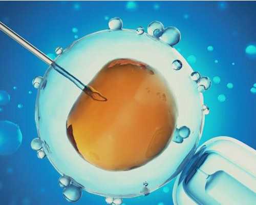 东莞供卵试管代怀包儿子靠谱吗