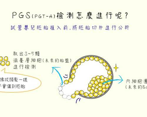供卵试管机构_借卵试管多钱,泰国做试管一般多少钱?泰国试管费用明细