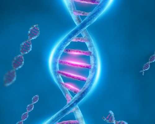 育儿知识分享简短的_备孕吃些什么,卵巢早衰但是还有优势卵泡，需要通过试管