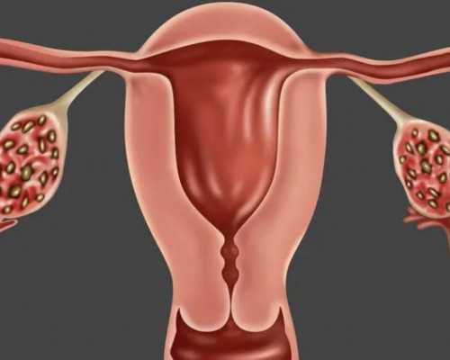 试管代怀生子多少钱?费用十万够吗?