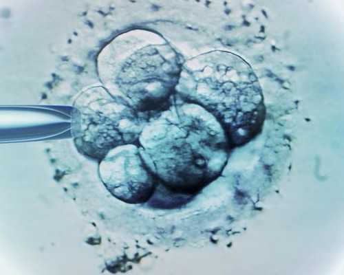 供卵官方网站_正规供卵,北京排名最好的供卵机构有哪些,18家有3家可以开展三