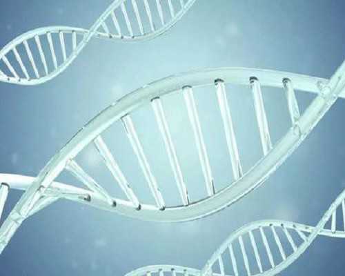 四川供卵试管官网网站 四川最出名试管医院:做试管让宝宝快快降临的黄金法