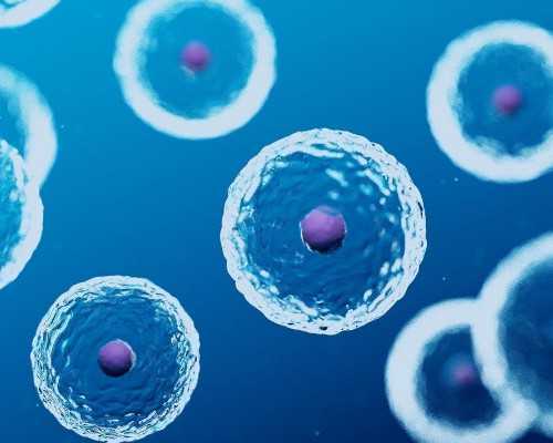 想求供卵生孩子_供卵试管经历,广东省肇庆市2026年最新供卵试管助孕医院排名汇