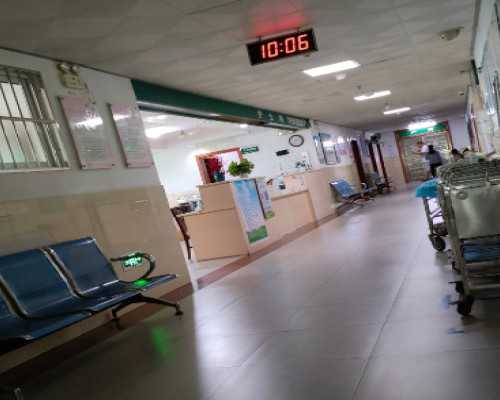 试管之母借卵_试管排队捐卵,俄罗斯试管成功率高达50%附试管费用详情