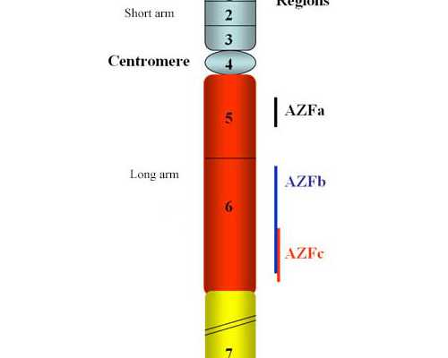 泰国供卵试管怎样_供卵助孕的孩子,蚌埠有没有试管机构能供卵