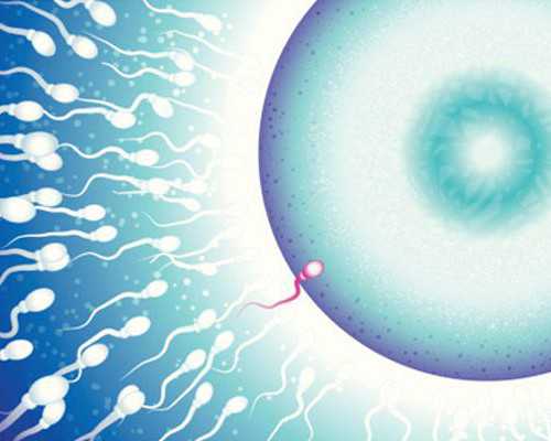 武汉供卵试管中心名单权威发布,武汉民间供卵试管机构排名揭晓,2026前十人气