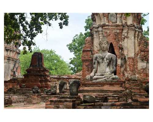 供卵价格表_供卵的详细流程,安徽供卵试管成功率高吗