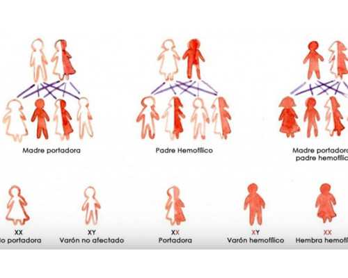 河南代怀生男孩医院费用多少？2026河南三代试管医院排行榜 