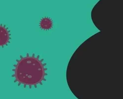 2026上海试管代怀生子机构名单揭晓