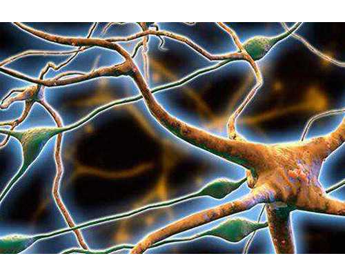 试管借卵费用_拉拉试管费用,做试管双胞胎吗,用试管婴儿做双胞胎好吗