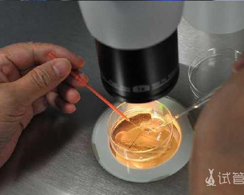 供卵试管过程_供卵中介有哪些,2026青海省供卵机构排名,试管供卵助孕攻略参考