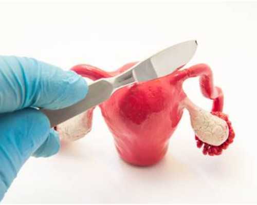 深圳做供卵试管婴儿成功率高吗?,深圳供卵试管婴儿单周费用明细一览,2026借