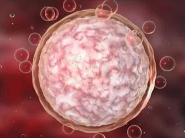 为什么4个优质胚胎全部养囊的结果却不好呢？